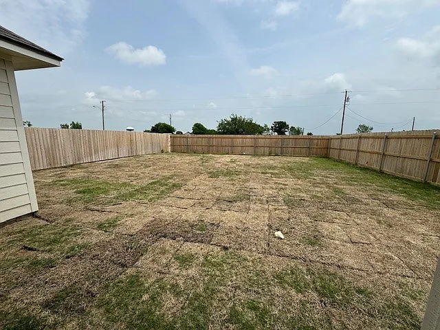 Backyard