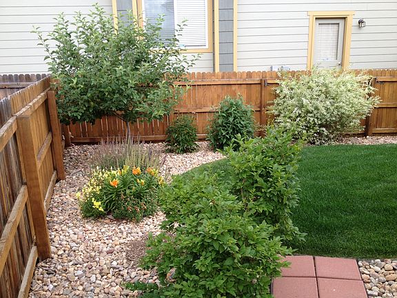 north side of backyard