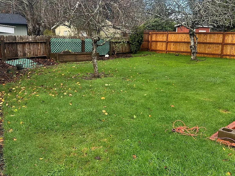 351 Lexington Ave NE — Photo 4