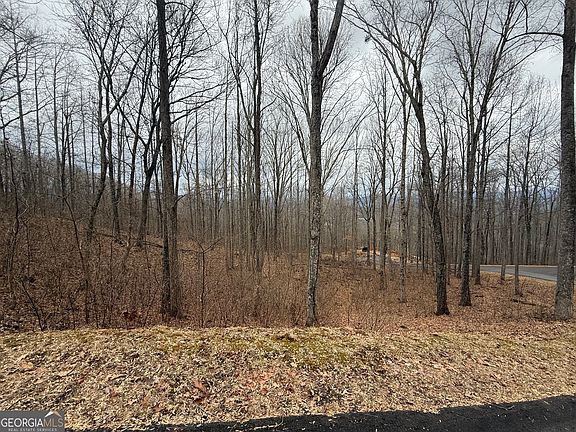 5th image of 7 Rocky Knob Dr