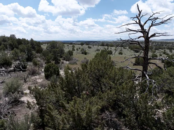 Vista View Rd, Walsenburg, CO 81089