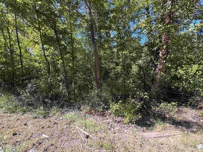 0 Highway 51 S, Munford, TN, 38058