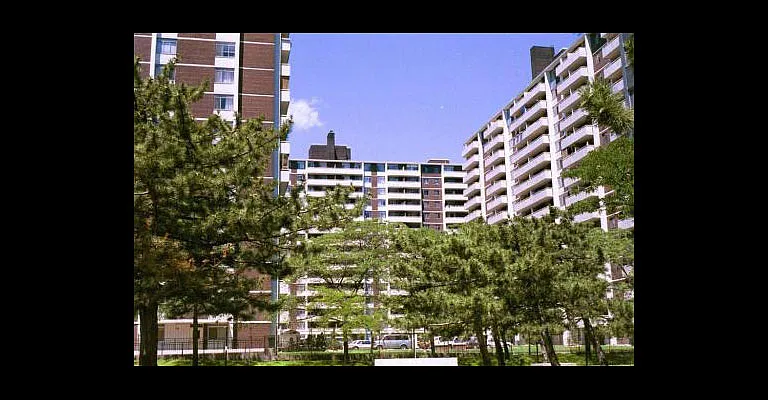 135 Rose Ave — Photo 10