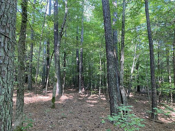 2nd image of 1 Rockford Ln Lot 1