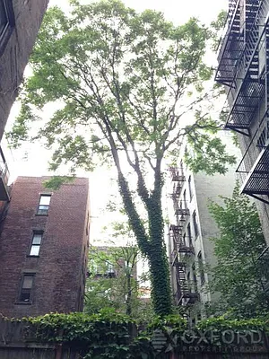 Rented by Oxford Property Group | media 8