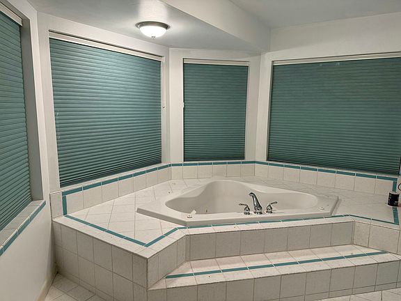 Master Tub