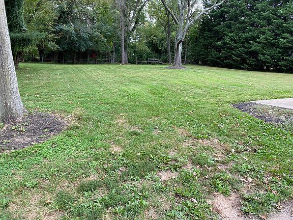 huge quiet private backyard