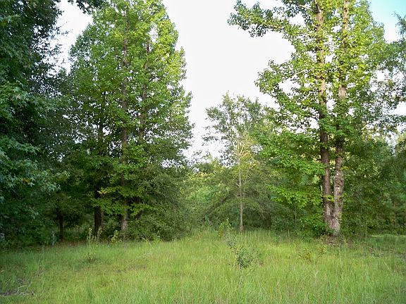4th image of 32040 Dogwood Ln