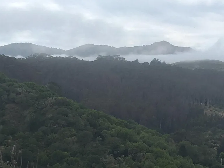 The view from deck