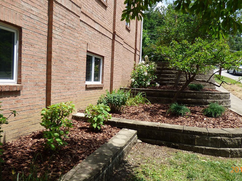 515 Mill St. - Fruit Trees