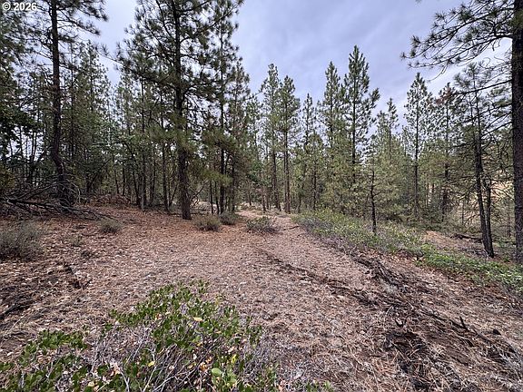5th image of Fireline Rd