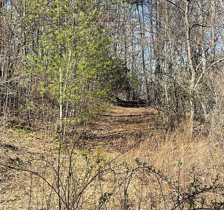 154 Buffalo Rd, Dugspur, VA 24325 Zillow