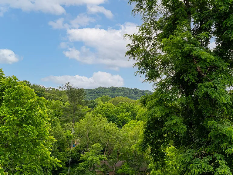 52 Green Oak Rd — Photo 28