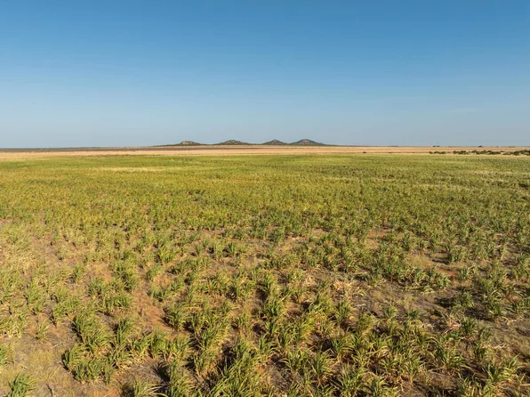 Fm 1167, Quanah, TX 79252