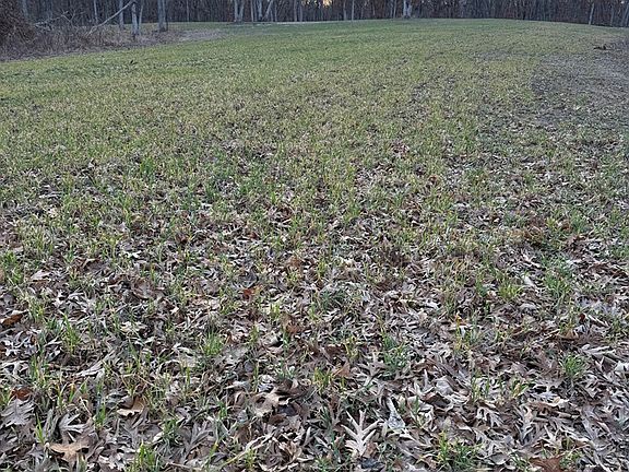 3rd image of 0 N Ribbon Rd