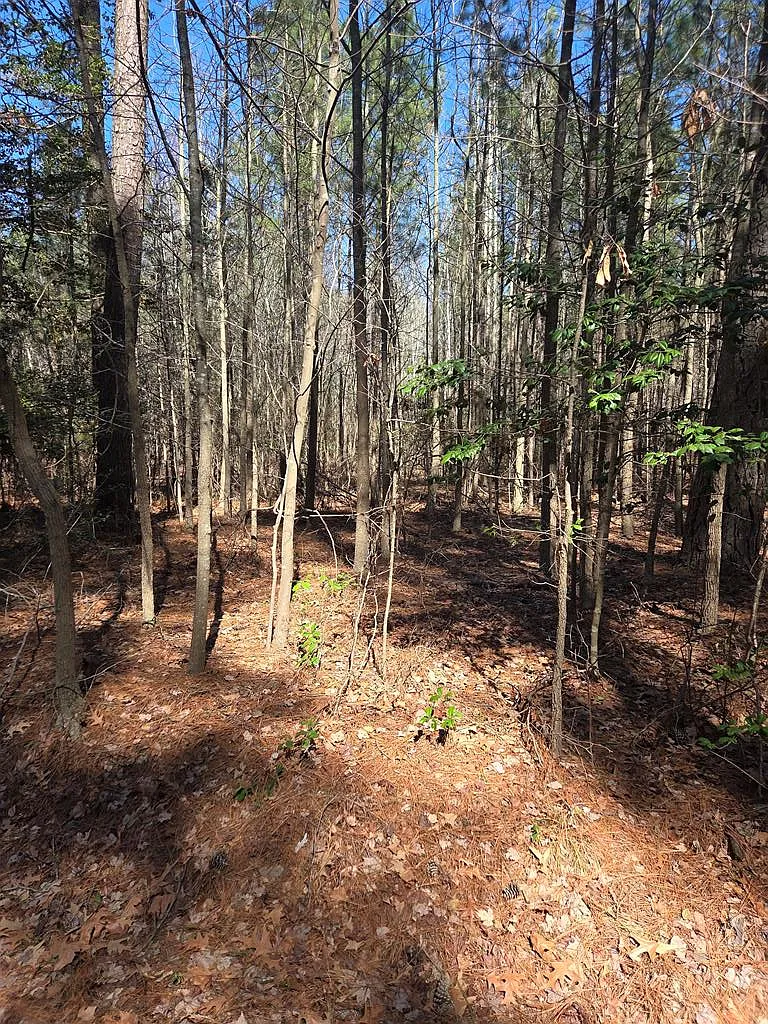 0 Holly Cove Rd Lot 13 photo 1