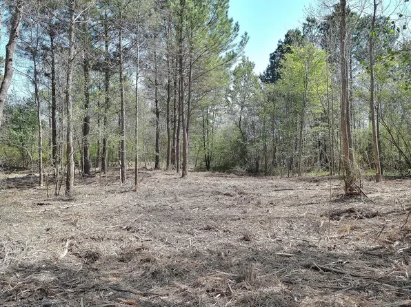 0 Collins Rd, Nash, TX 75569