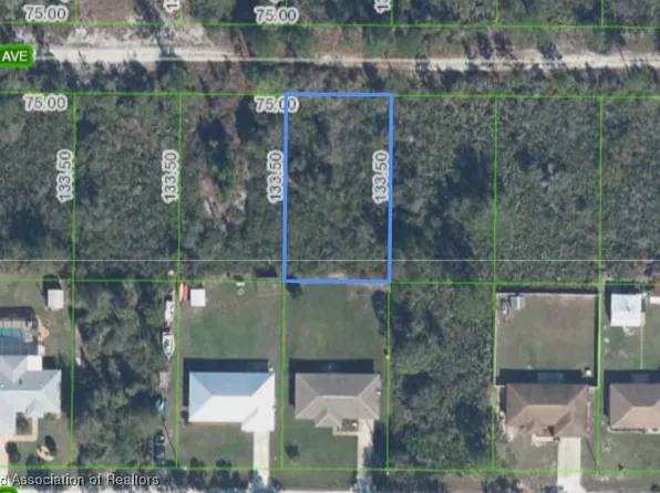336 Tanager Ave, Sebring, FL 33872