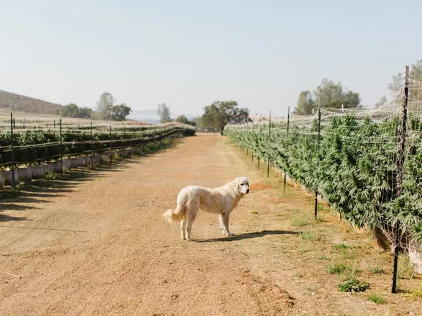 (undisclosed Address), Valley Springs, CA 95252