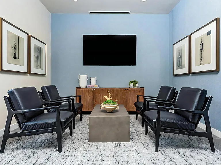 Intimate Lounge Area with Black Accent Chairs and Wall-Mounted TV