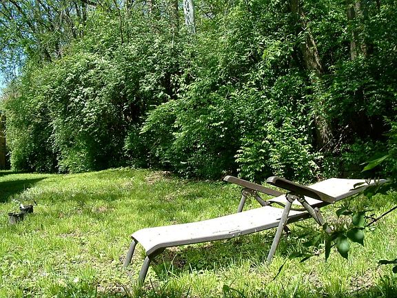 Quite green space behind building