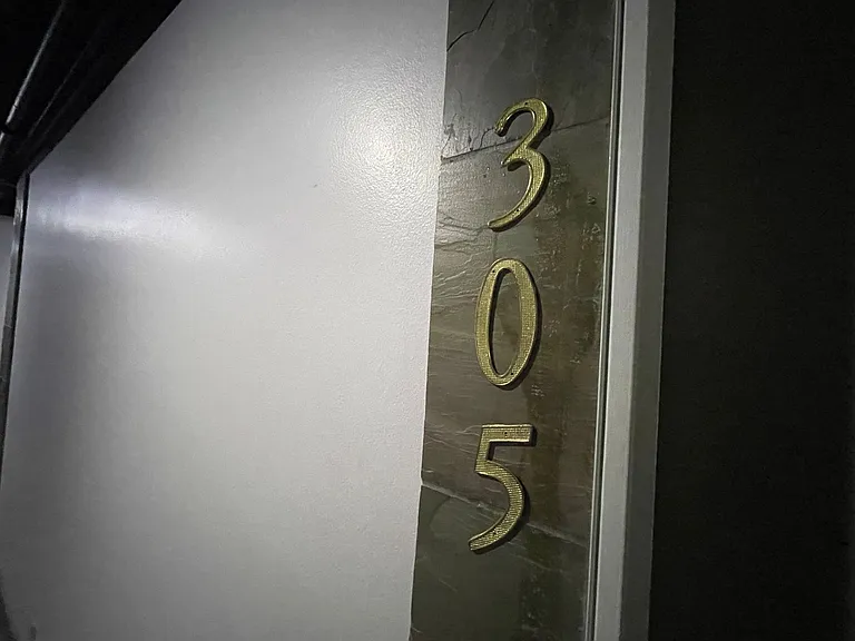 280 Island Ave #305 — Photo 10