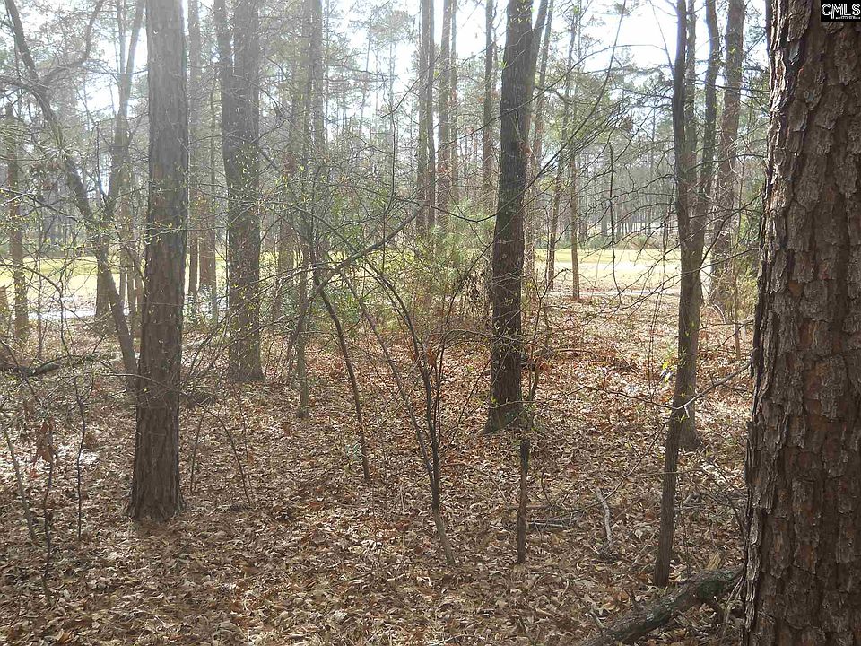 2nd image of 514 Fetterbush Rd