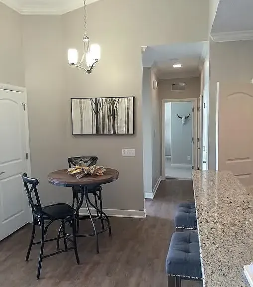 Reserve at Green Luxury Apartments — Photo 6