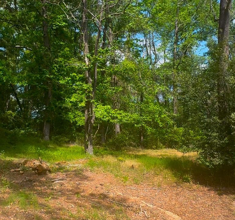 1st image of 0 Turner Ln