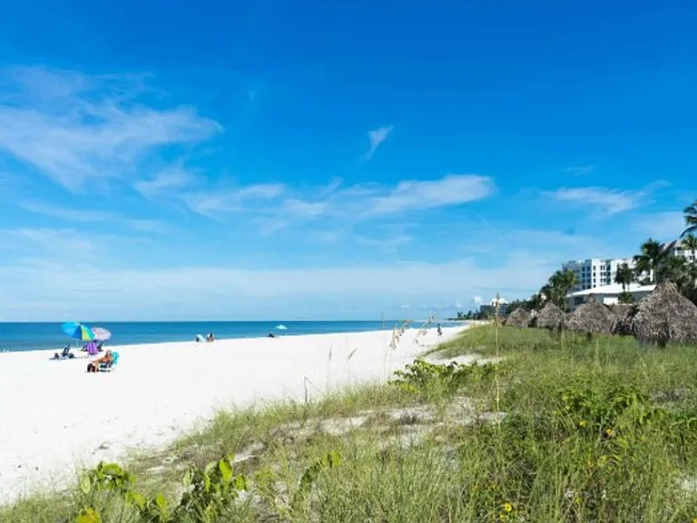 1300 Gulf Shore Blvd N #304 — Photo 23