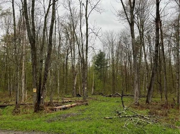 0 Chase Rd #6, Camden, NY 13316