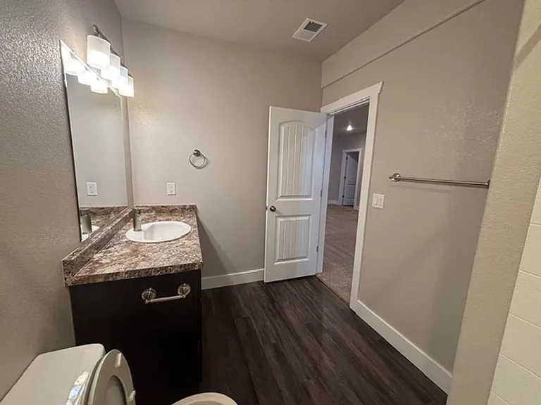 1333 Alyssa Way — Photo 51