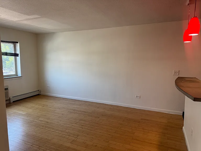 1231 N Downing St #203 — Photo 7
