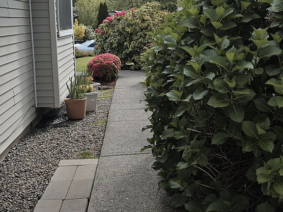 Looking east towards the street from the gate to the mother-in-law house.