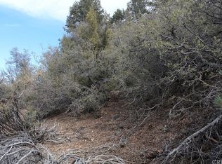 1912 Zermatt Dr, Pine Mountain Club, CA 93222