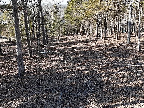 4th image of 10321 Timber Hill Dr