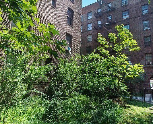 5th image of 210 W 150th St APT 4D