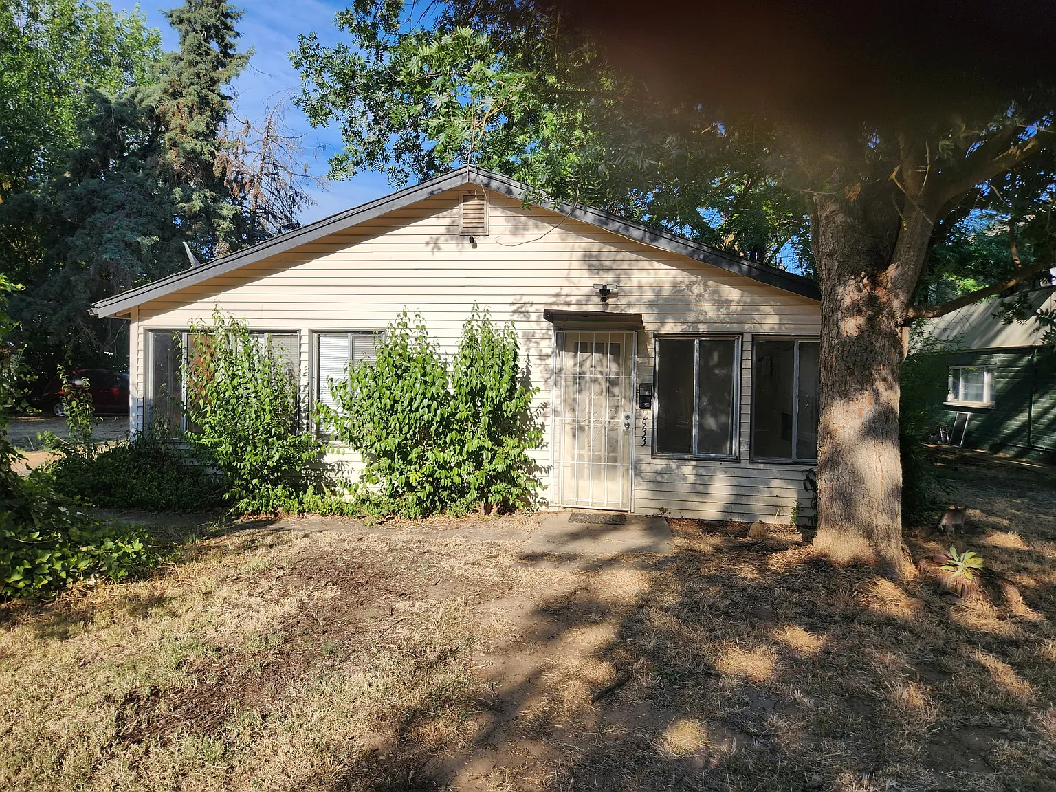 1 bed, 875 sqft, $1,200 — Photo 1
