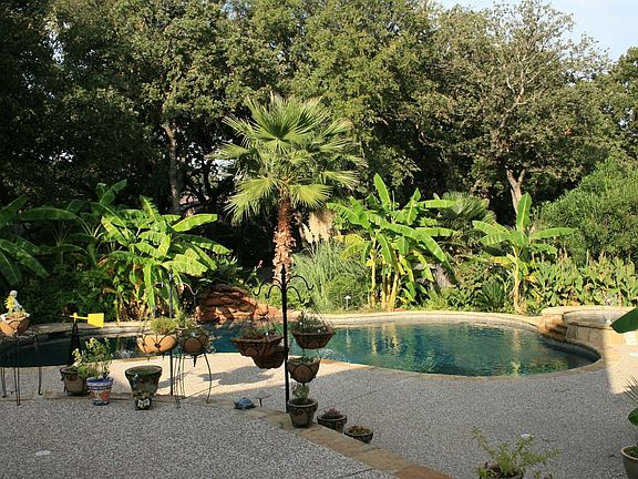 Tropical back yard with salt water pool and spa