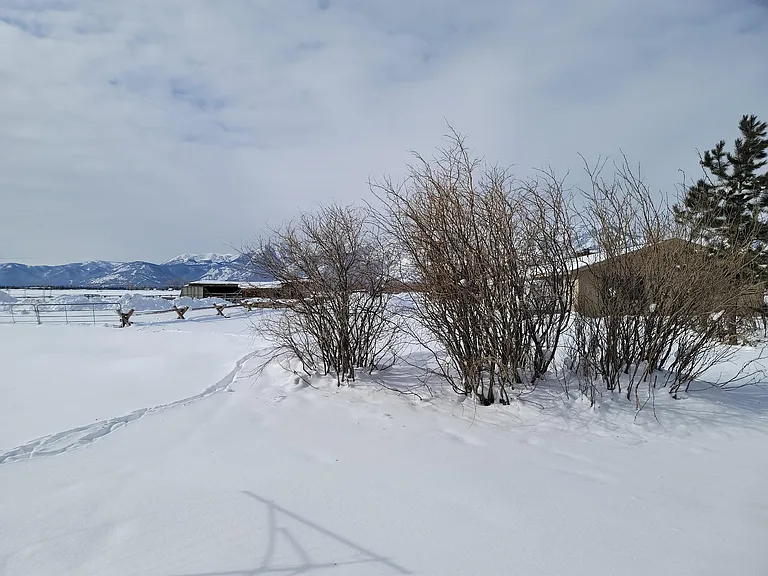 600 Ponderosa Dr — Photo 22