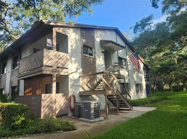603 Baldwin Ave APT B, Safety Harbor, FL 34695