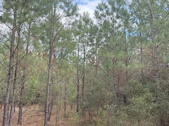 4th image of 209 State Highway 21