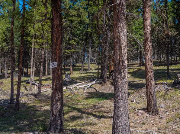 1050 Grandview Dr, Seeley Lake, MT 59868