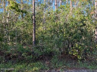 4637 Kola Rd, New Smyrna Beach, FL 32168