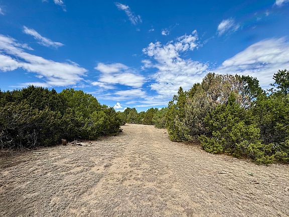 5th image of Silver Spurs Ranch Filing 4 #82