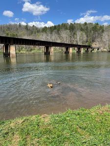 428 Evening Dove Ln, Galax, VA, 24333