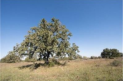 4th image of 5808 S Us Highway 281
