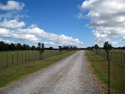 Driveway
