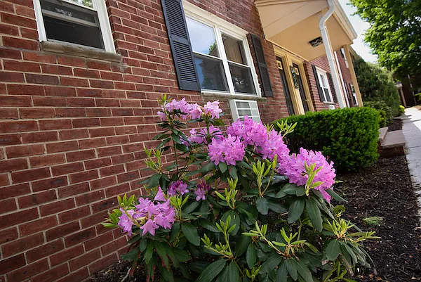 Lincoln Gardens Apartments — Photo 12