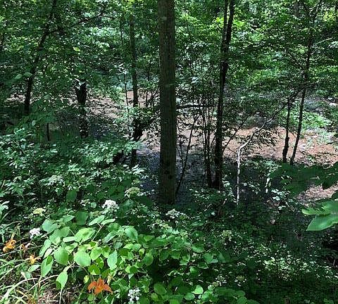 3rd image of 461 Shiloh Rd